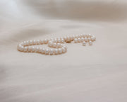 Salty Freshwater Button Pearl Necklaces