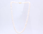 Salty Freshwater Button Pearl Necklaces